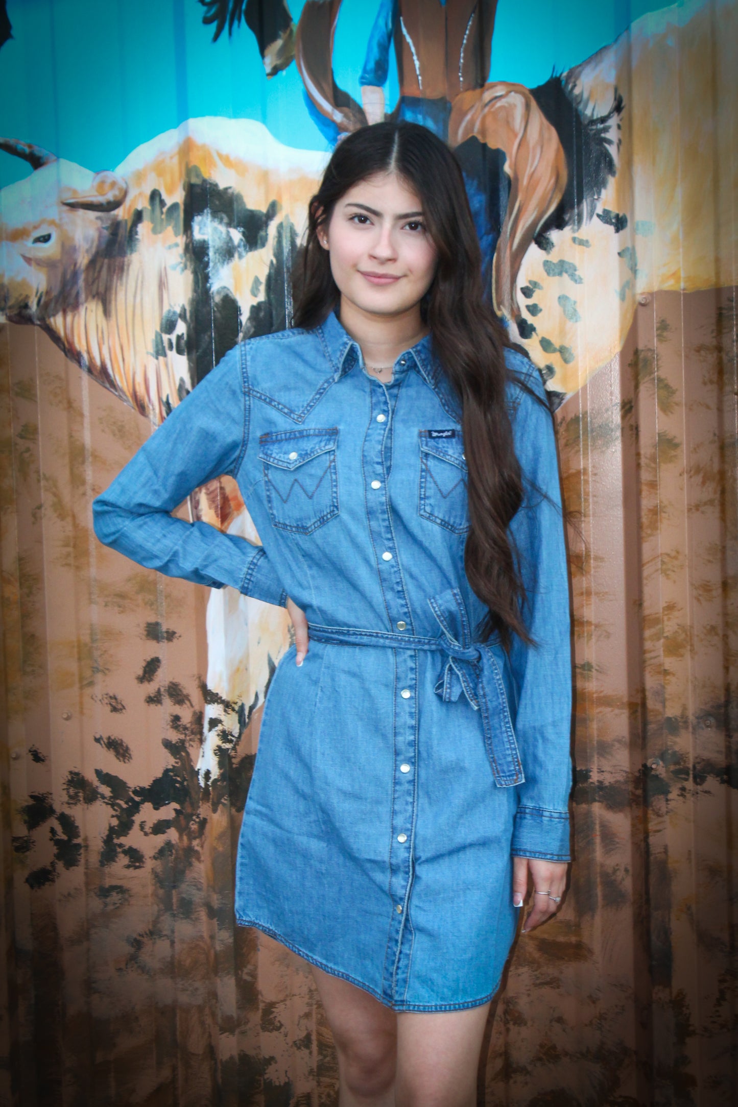 Wrangler Retro LS Denim Snap Dress