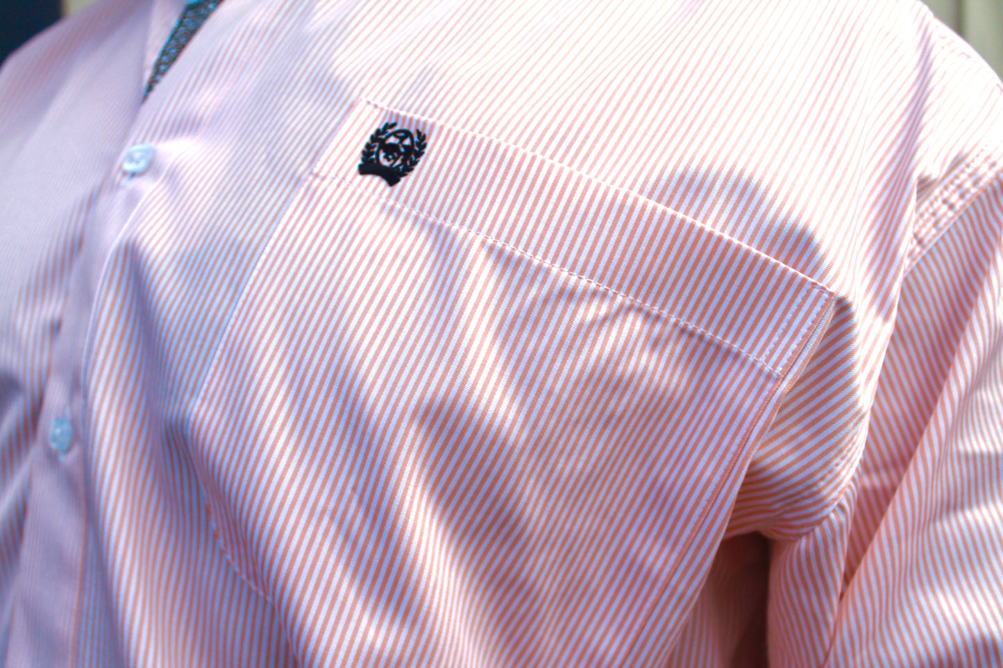 Cinch Men's Coral Stripe L/s Button-up