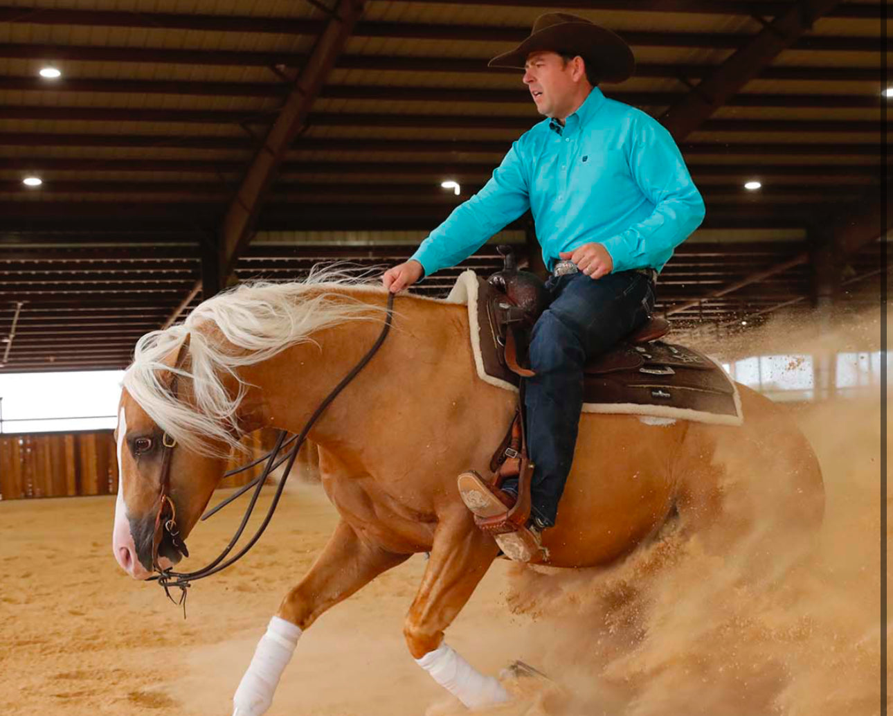 Cinch Turquoise LS