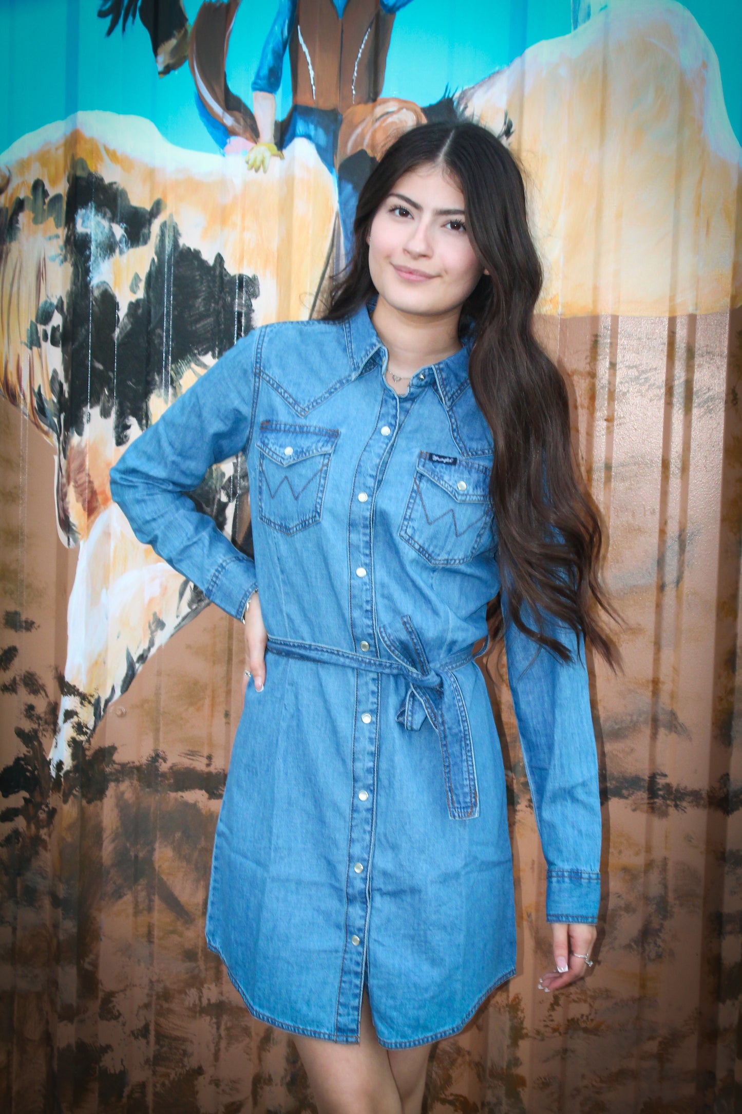 Wrangler Retro LS Denim Snap Dress