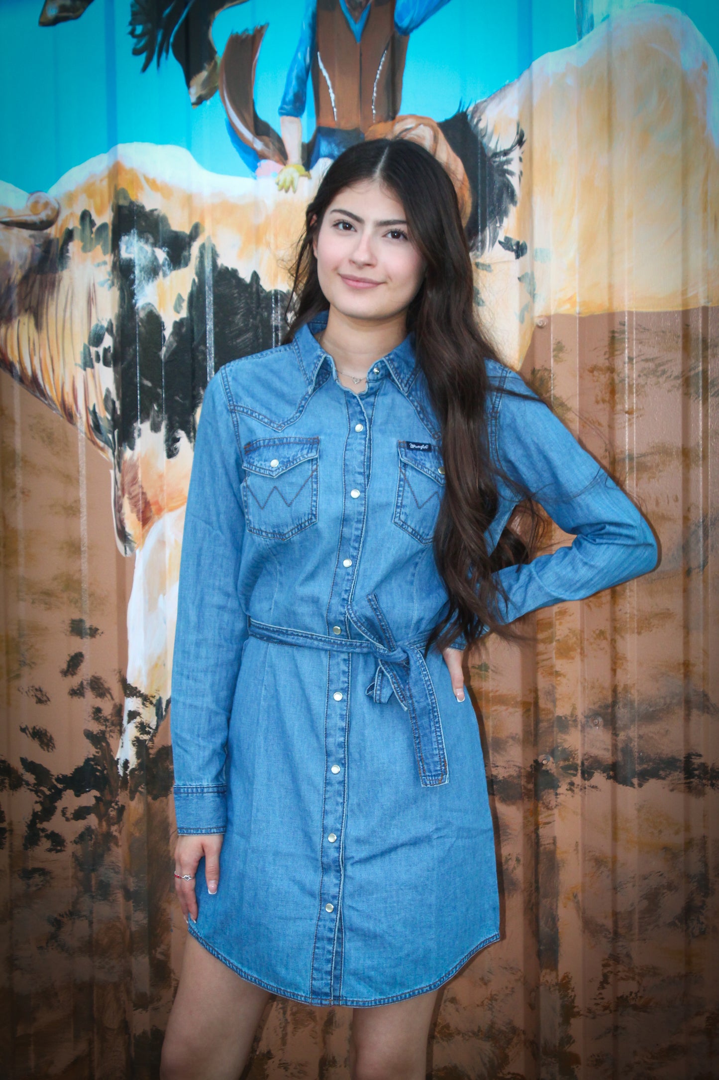 Wrangler Retro LS Denim Snap Dress