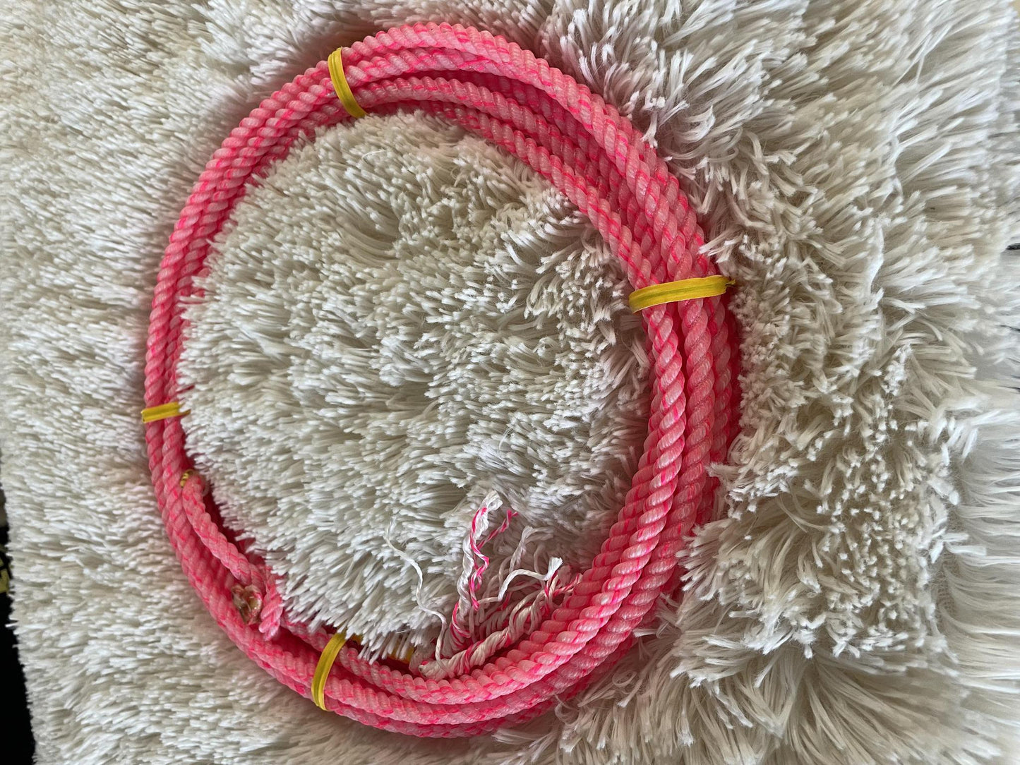 Kids Cactus Ropes