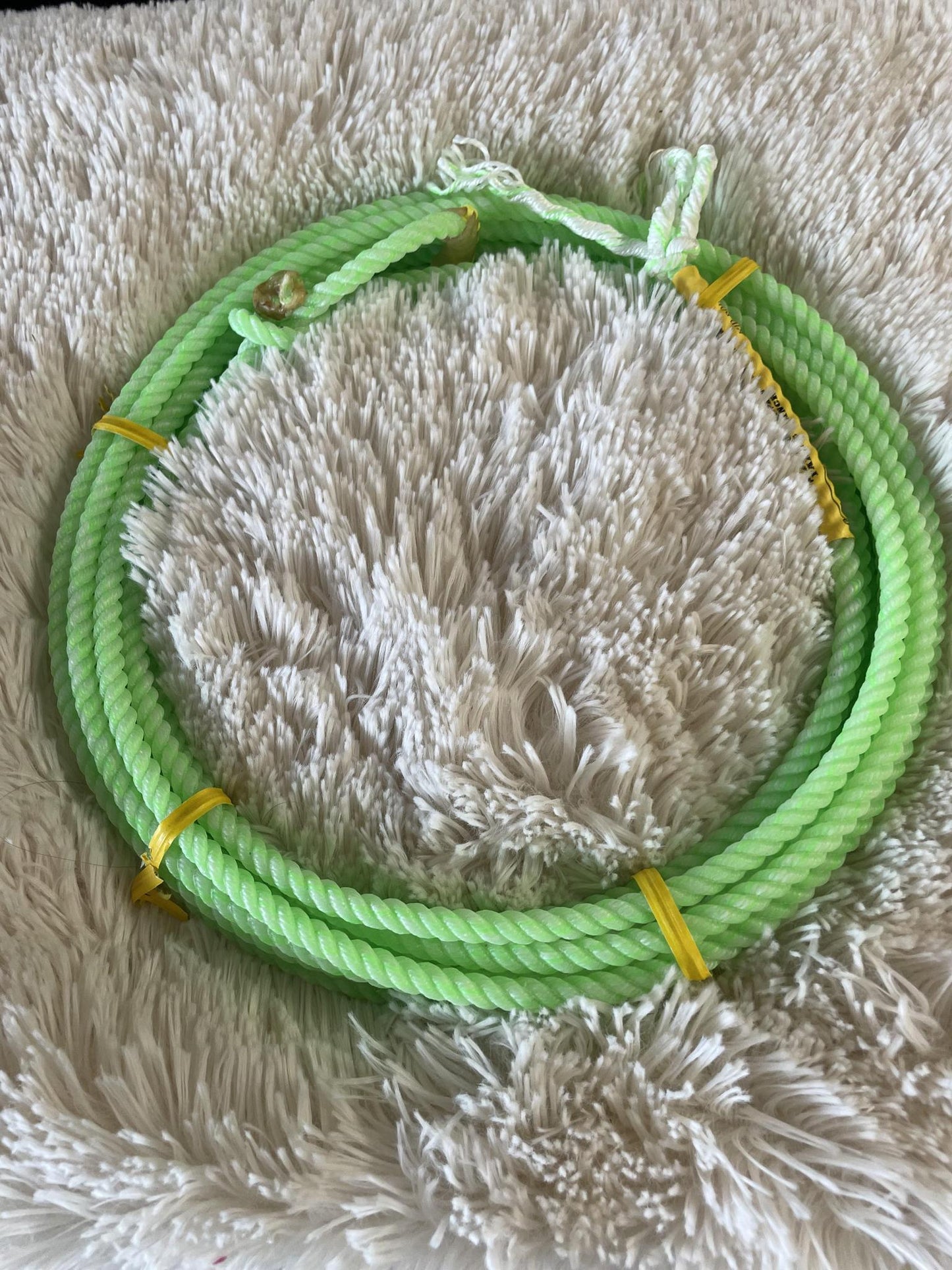 Kids Cactus Ropes