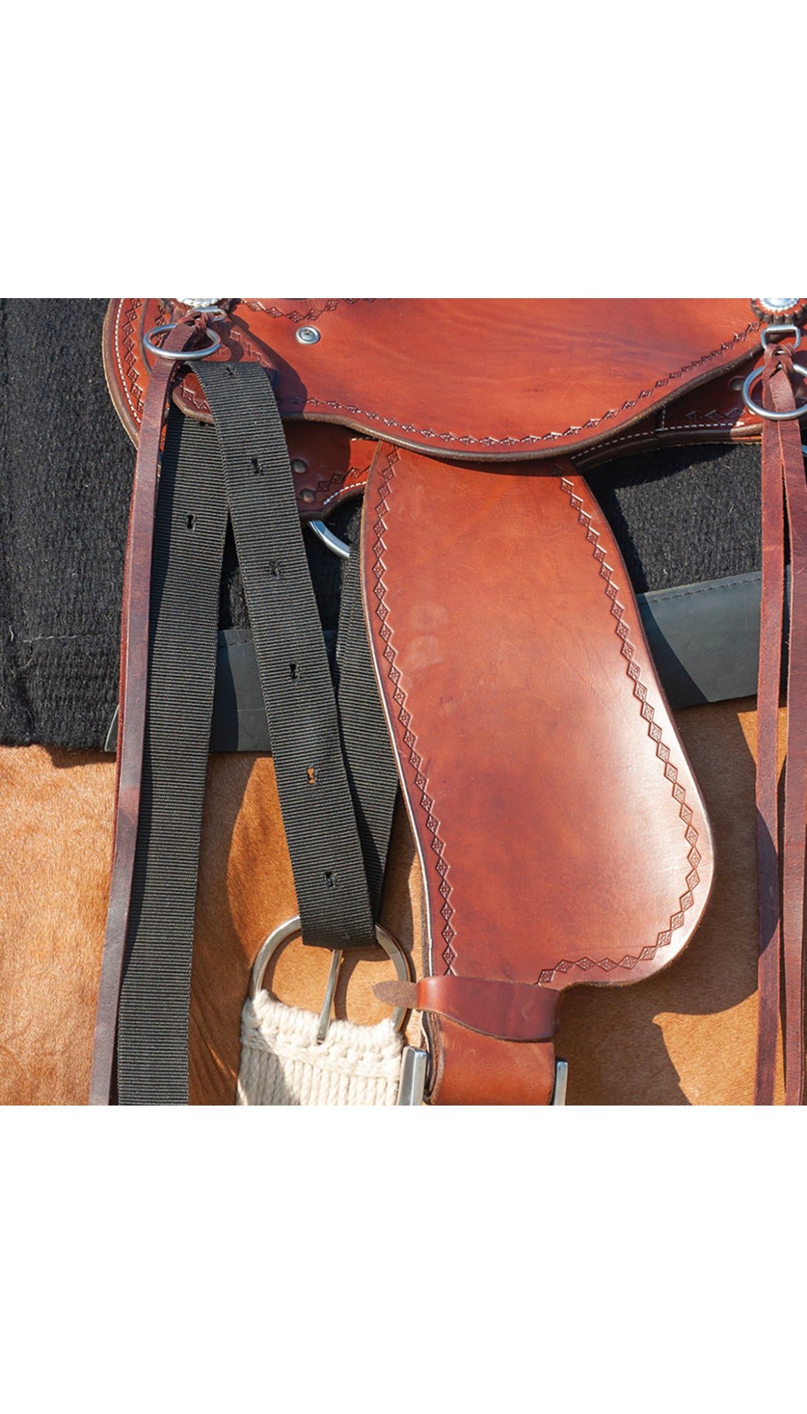 Cashel Nylon Saddle Latigo