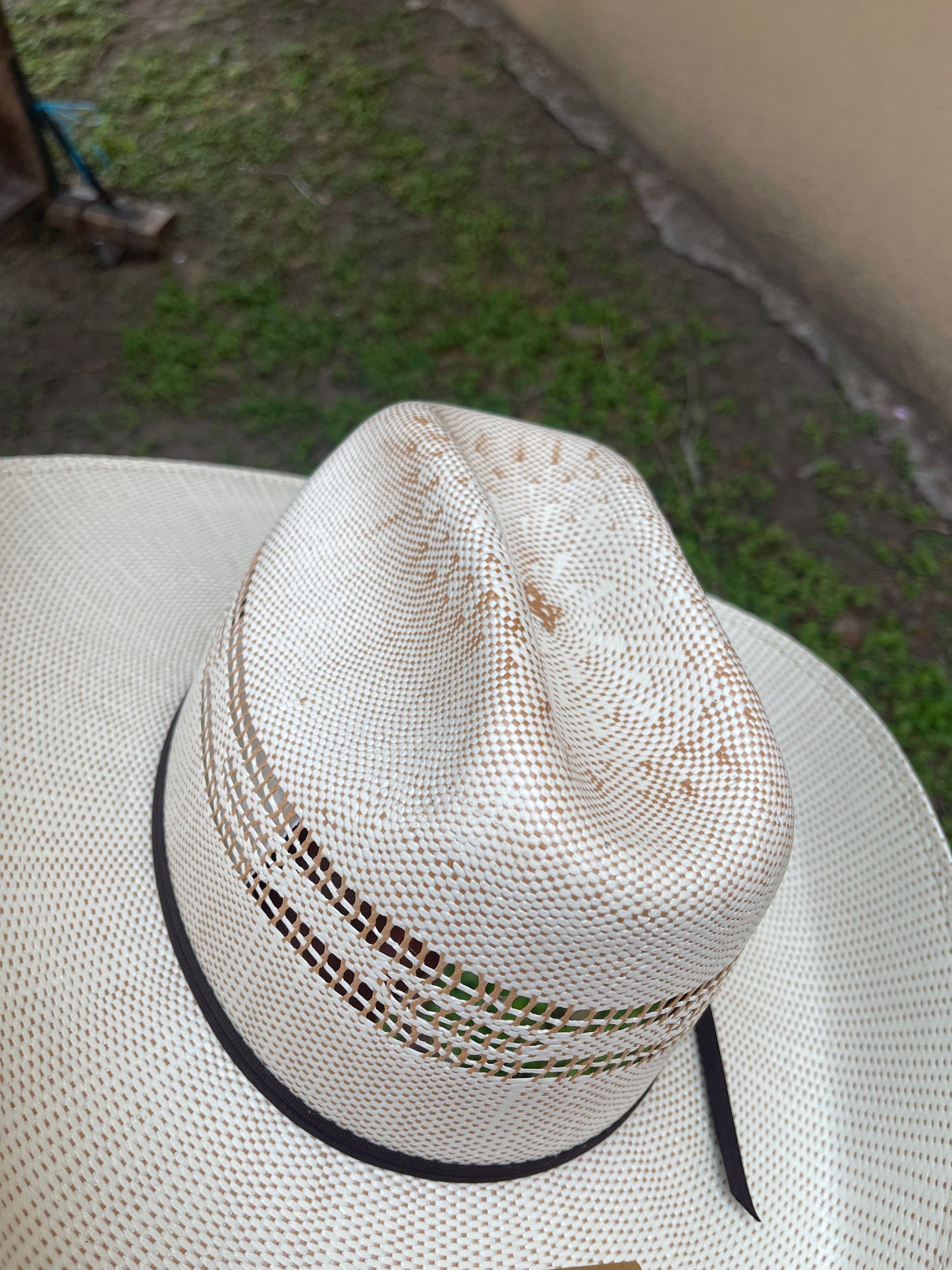 š¤ Adult Twister Straw Hat