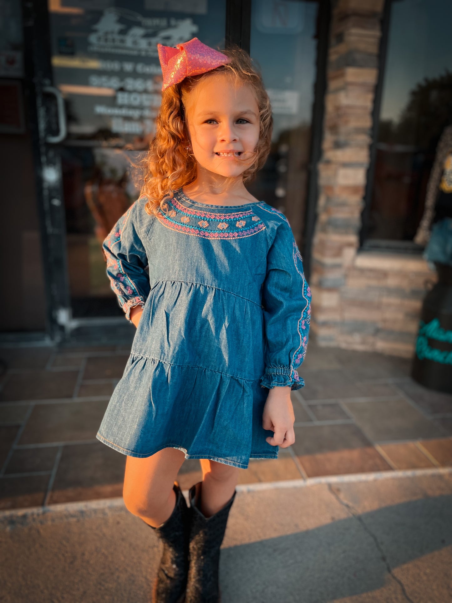 Youth Wrangler Denim Embroidered Dress