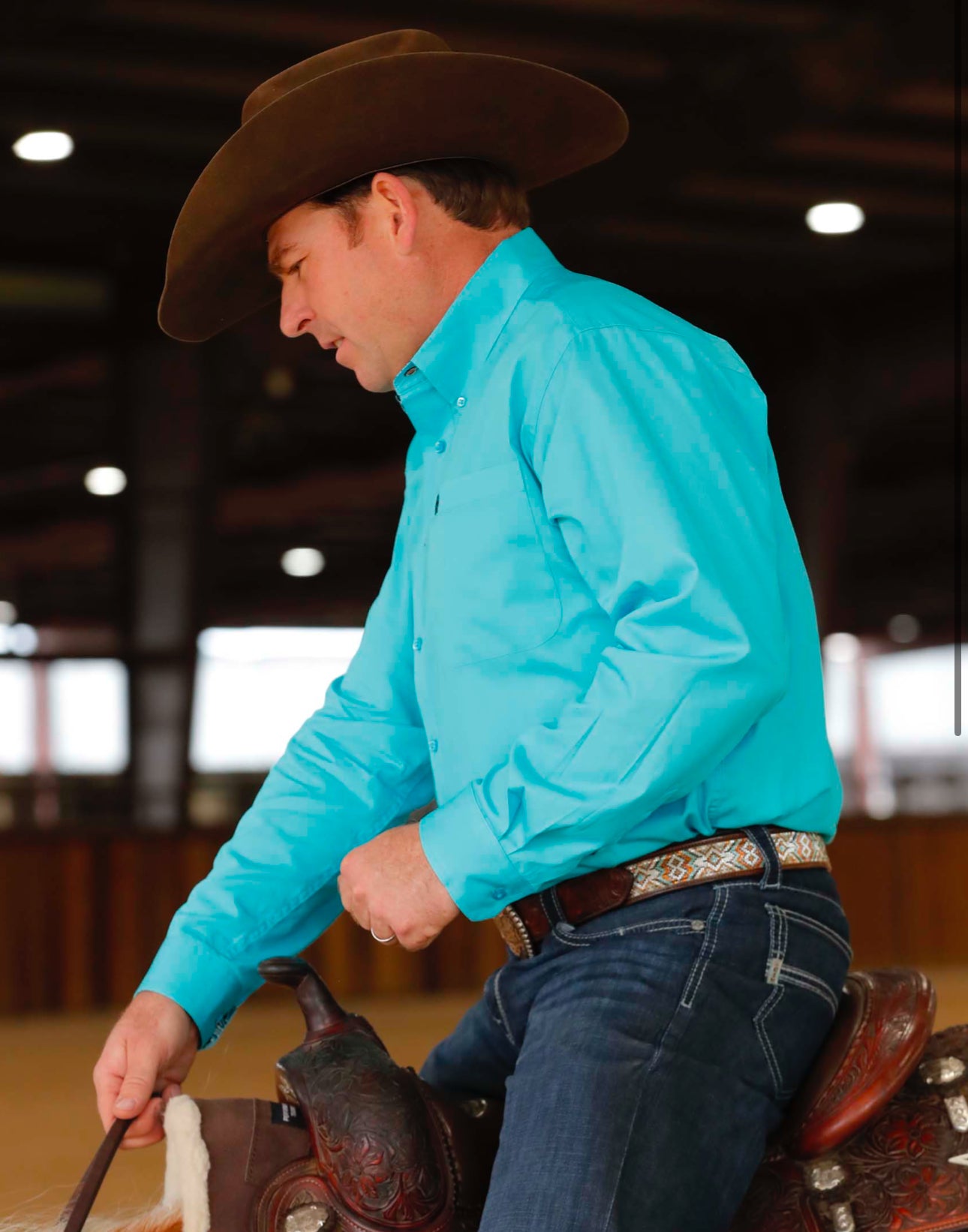 Cinch Turquoise LS