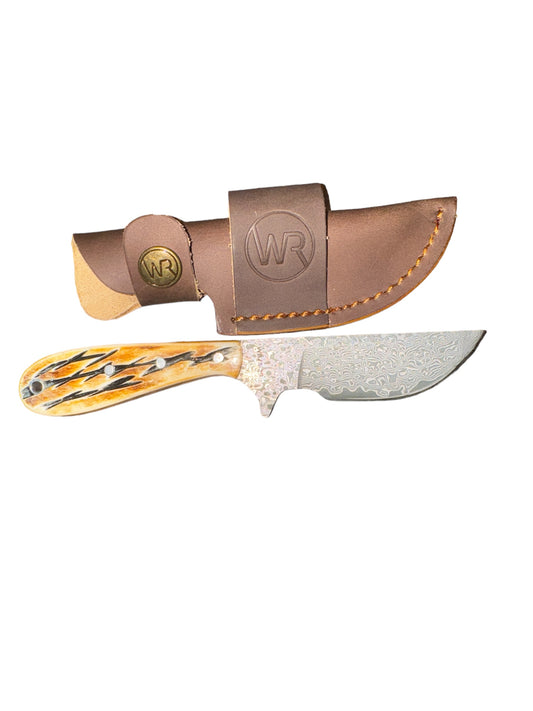 Burnt Bone Ciervo Skinner Knife
