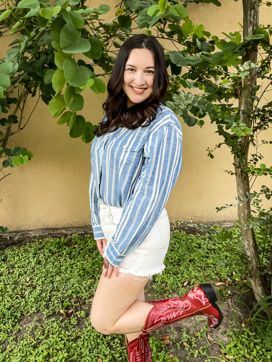 Wrangler Retro Custom Crop