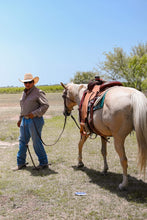 Load image into Gallery viewer, Wrangler Tan/Brown Performance LS
