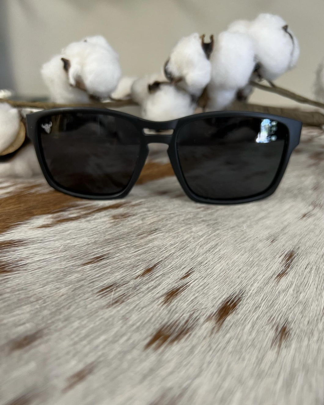 Zorro Sunglasses