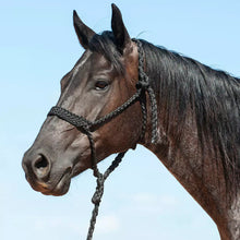 Load image into Gallery viewer, Cashel Flat Braid Halter w/9ft lead
