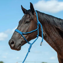 Load image into Gallery viewer, Cashel Flat Braid Halter w/9ft lead
