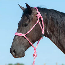 Load image into Gallery viewer, Cashel Flat Braid Halter w/9ft lead
