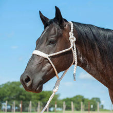 Load image into Gallery viewer, Cashel Flat Braid Halter w/9ft lead
