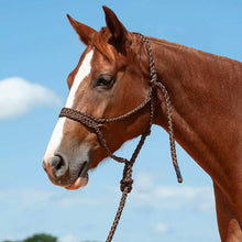 Load image into Gallery viewer, Cashel Flat Braid Halter w/9ft lead
