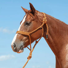 Load image into Gallery viewer, Cashel Flat Braid Halter w/9ft lead
